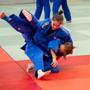 Polski Związek Judo