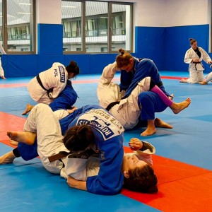 Polski Związek Judo