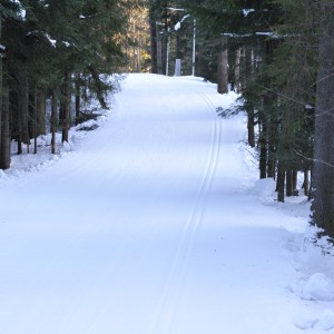 SMS Zakopane trening