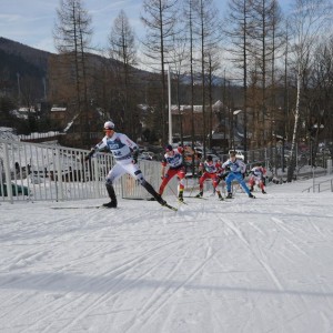 Mistrzostwa w biegach narciarskich