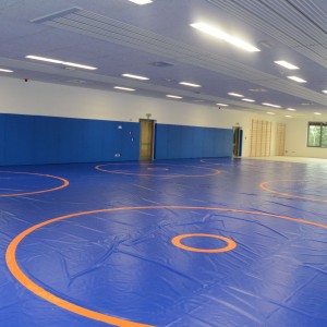 Sala judo