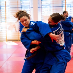 Polski Związek Judo