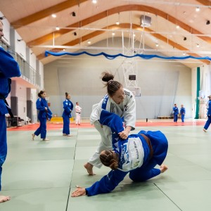 Polski Związek Judo